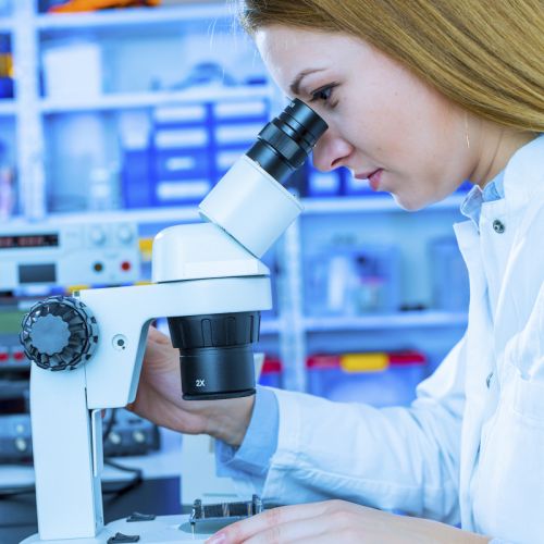 锅炉验收检测：守住安全底线，确保合规运行